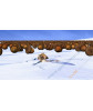 Ice Age 4: Continental Drift PS3