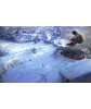 Shaun White: Snowboarding PS3