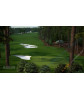 Tiger Woods PGA Tour 13 PS3